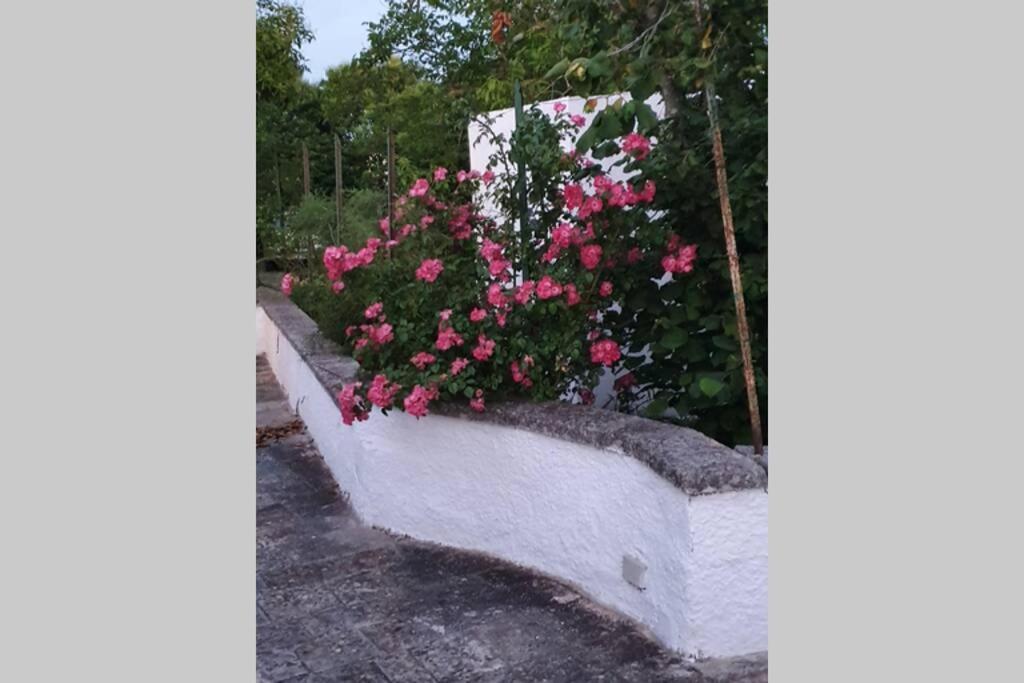 Trulli Relax A Martina Franca Villa Bagian luar foto
